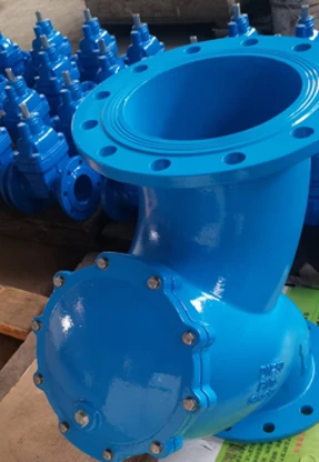 Ductile Iron Cast Iron Y Type Strainer suppliers
