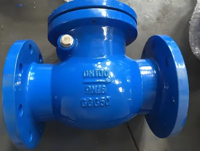 Βαλβίδα αντεπιστροφής όλκιμο σιδήρου PN10